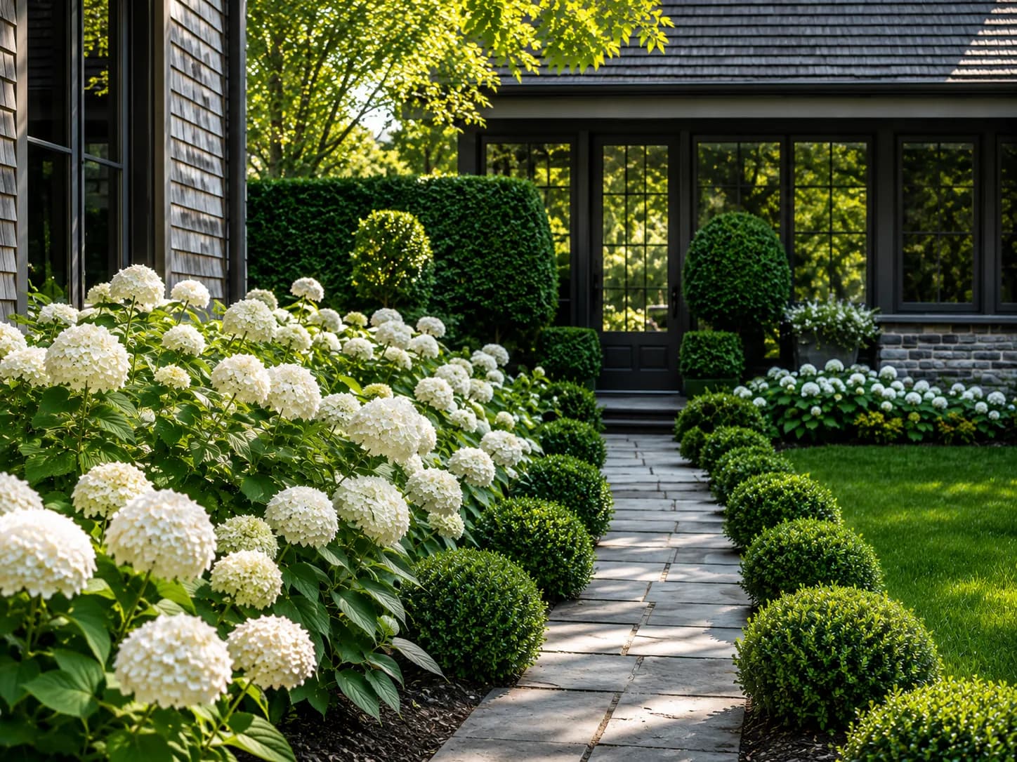 A home's front walk, hydrangeas in bloom along the path